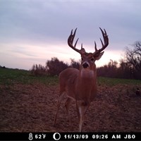 2009 Trailcam Pics
