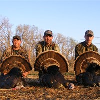 2008 Turkey