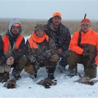Upland Bird Pictures