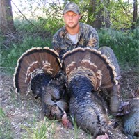 2010 Turkey