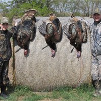 2011 Turkey