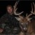 Tim Haley