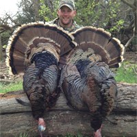 2013 Turkey