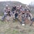 Realtree Group